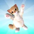 Fluffy Cat 3D Fluffy Cat 3D