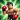 Obby: ragdoll boxing