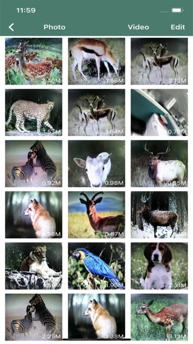 ภาพหน้าจอของ GcamPro