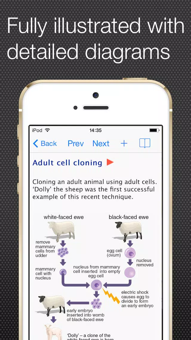 Capturas de tela do School Science Glossary Lite