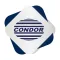 iCondor