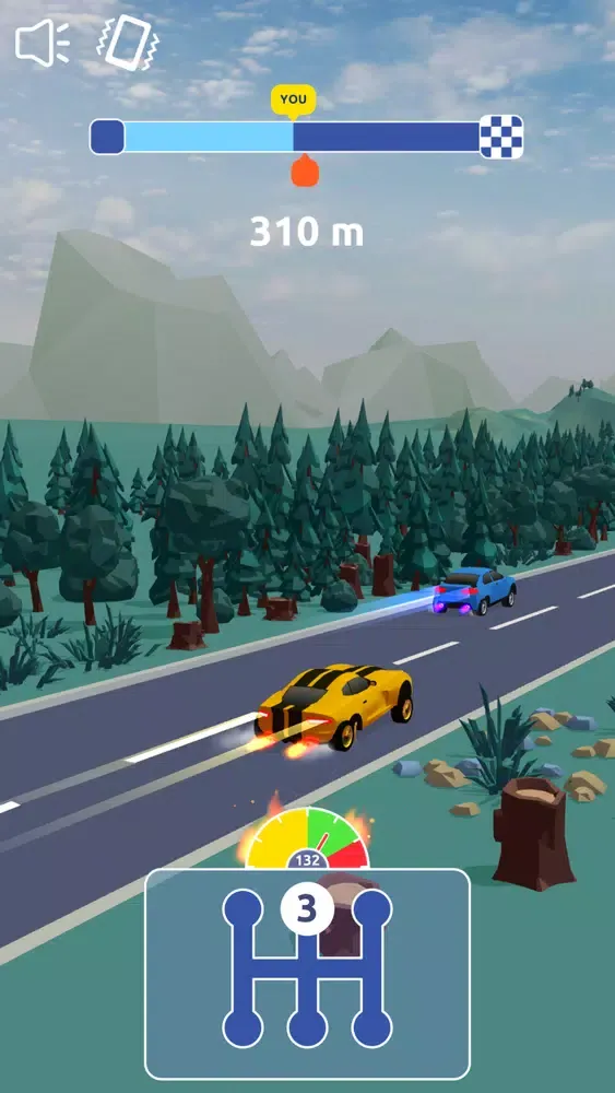 Скриншоты Gearbox Racing