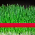 Countdown to Norooz
