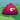 Furball Rush