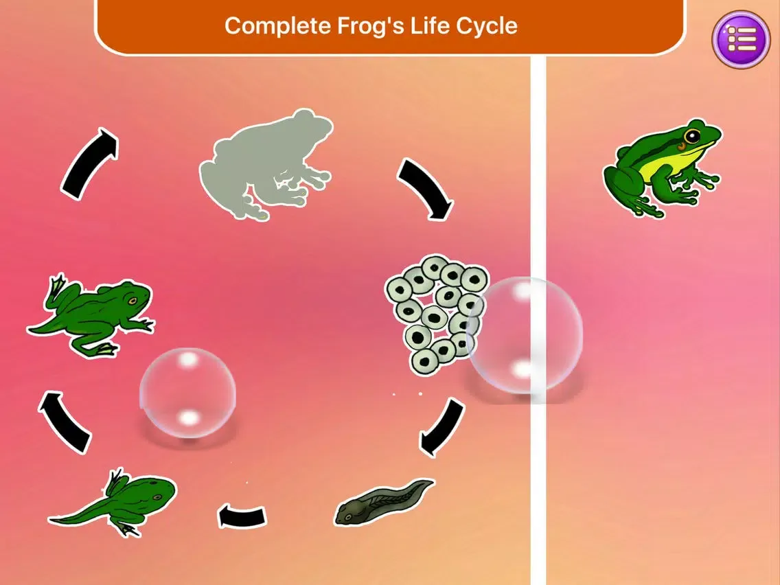 Capturas de tela do Hermione First Grade Science Learning Games Lite iPad 