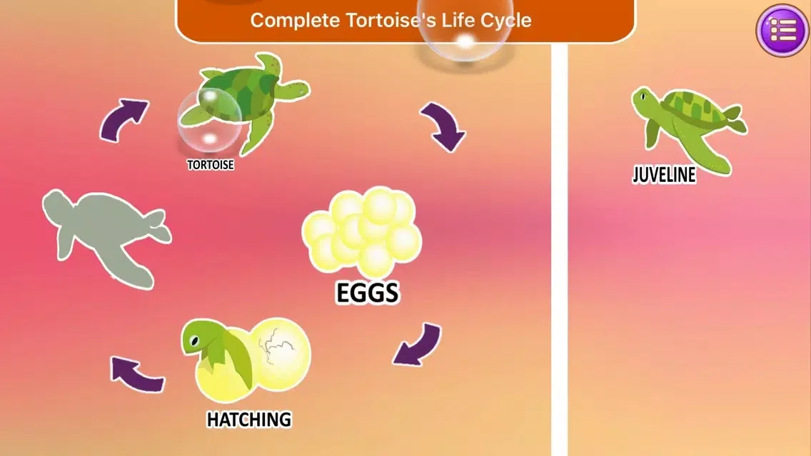 Capturas de tela do Hermione First Grade Science Learning Games Lite