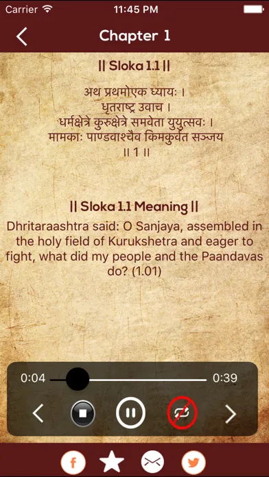 Bhagavad Gita Saar Hindi應用截圖