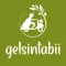 Gelsin Tabii