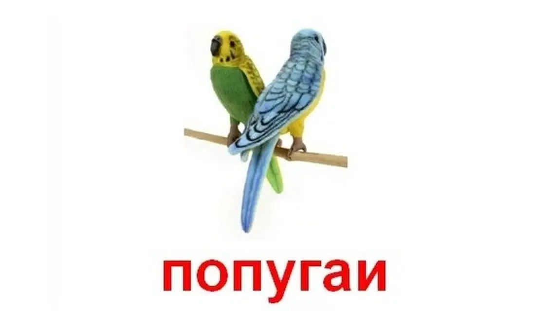Мал, да удал Lite স্ক্রিনশট