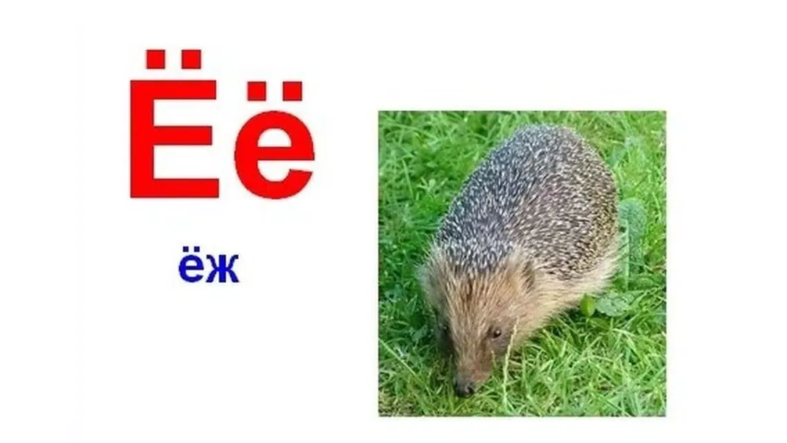 Мал, да удал Lite স্ক্রিনশট