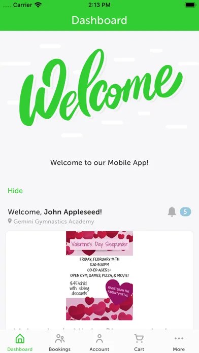Gemini Gymnastics Academy Screenshots