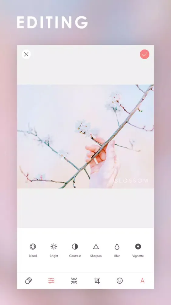Blossom Camera应用截图