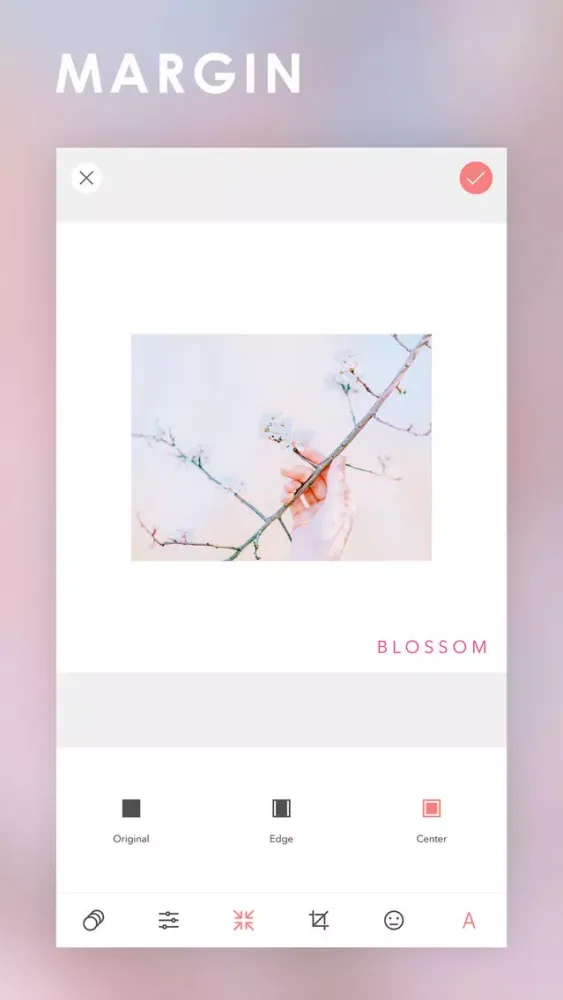 Blossom Camera应用截图