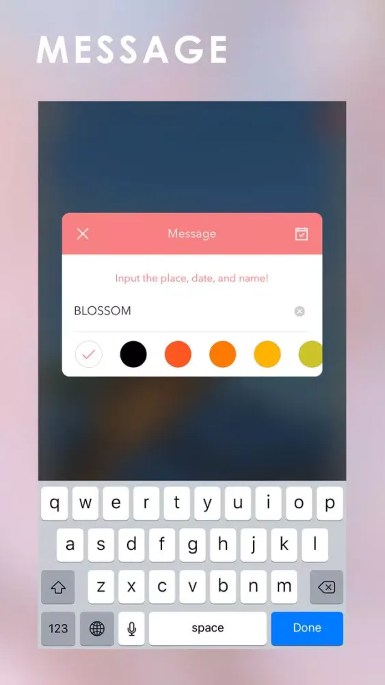 Blossom Camera应用截图