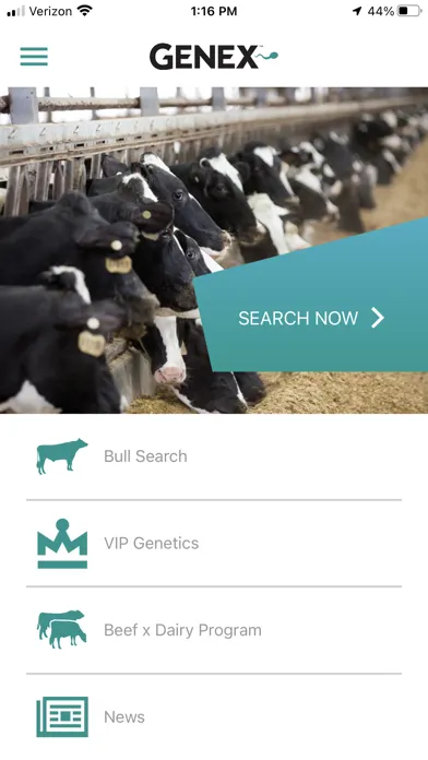 Скриншоты Bull Search