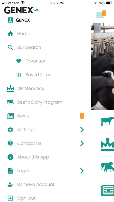 Скриншоты Bull Search