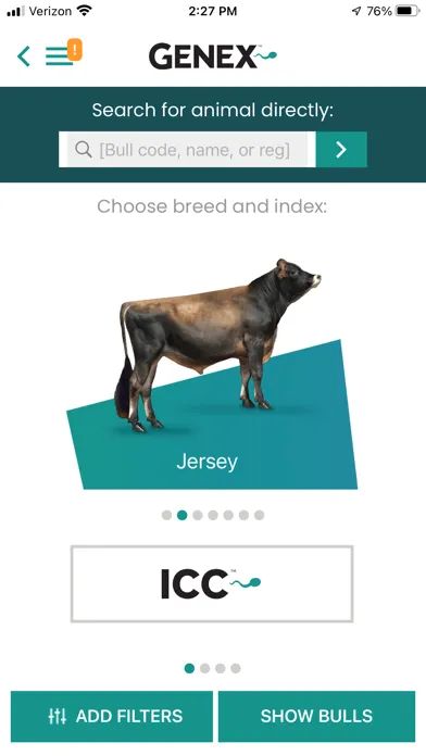 Скриншоты Bull Search