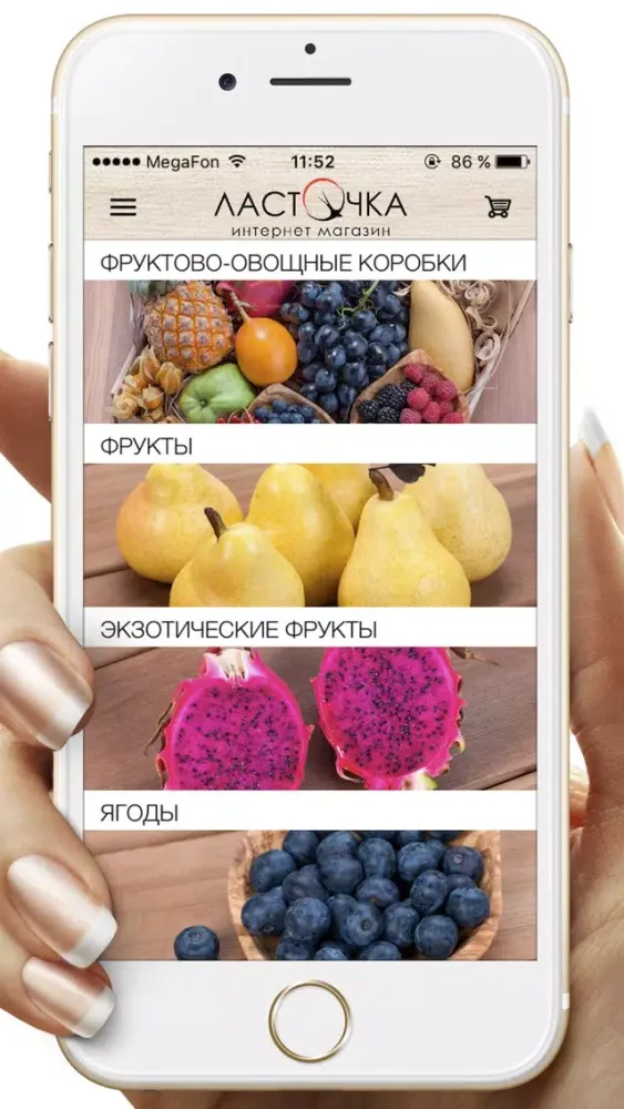ЛастОчка - Интернет магазин应用截图