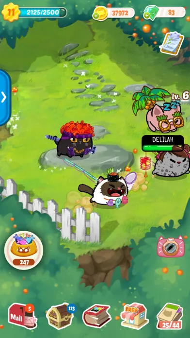 Fancy Cats - Kitten Care Game Ekran Görüntüleri