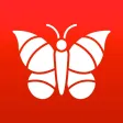 Photo Insect - Identify Bugs Photo Insect - Identify Bugs