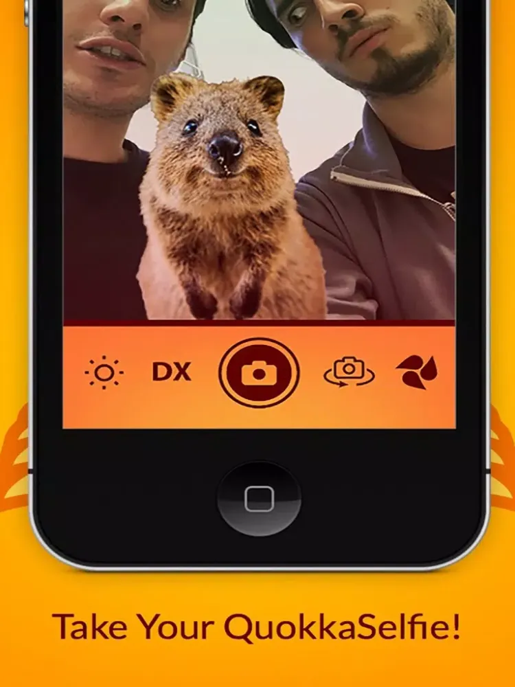 صور QuokkaSelfie: take photos with the happiest animal in the world! iPad 
