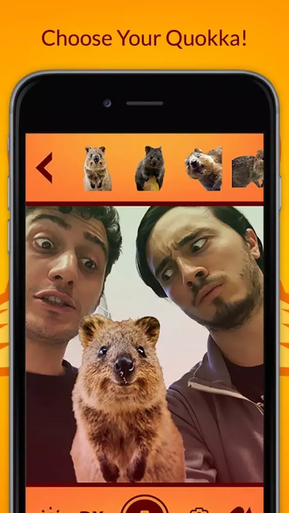 صور QuokkaSelfie: take photos with the happiest animal in the world!