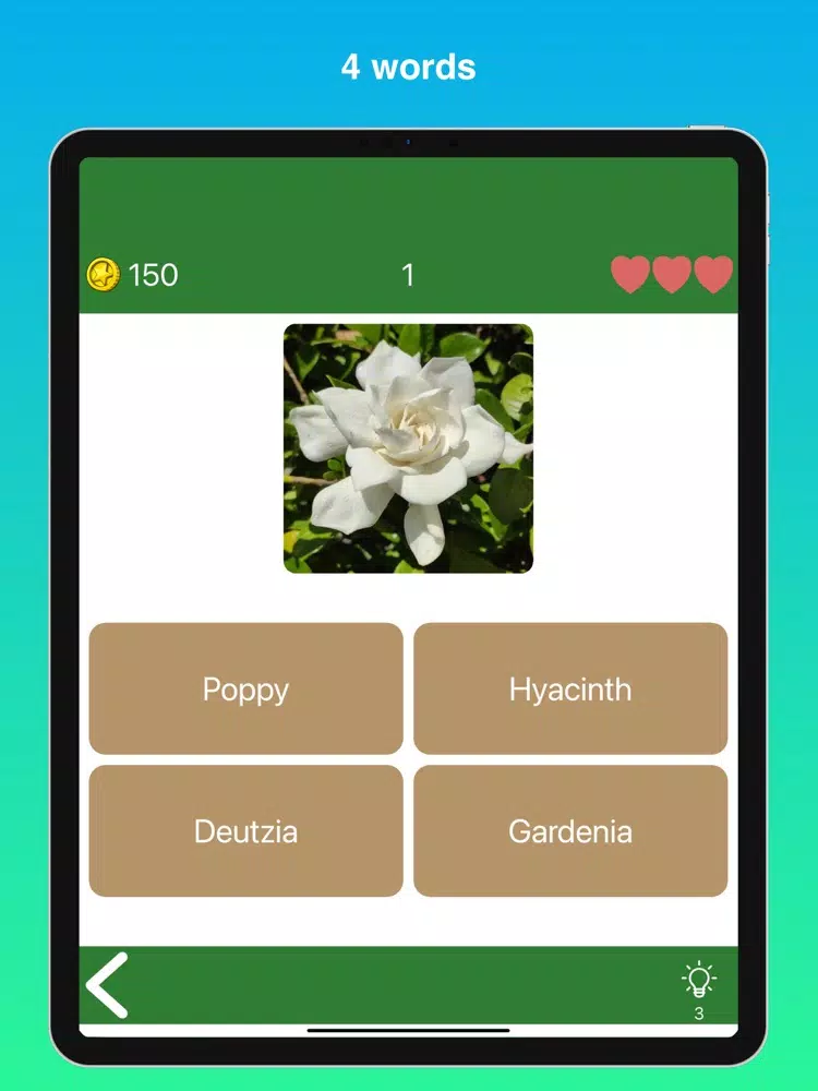 Quiz Flowers: guess one answer iPad  স্ক্রিনশট