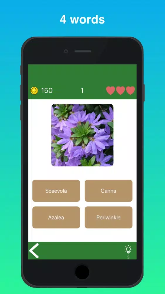 Quiz Flowers: guess one answer স্ক্রিনশট