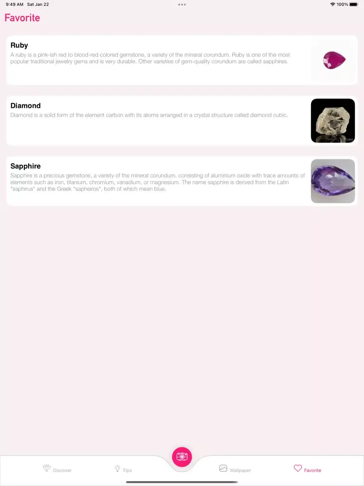 صور Rock Identifier: Stone ID Pro iPad 