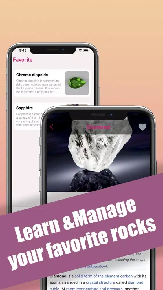 صور Rock Identifier: Stone ID Pro