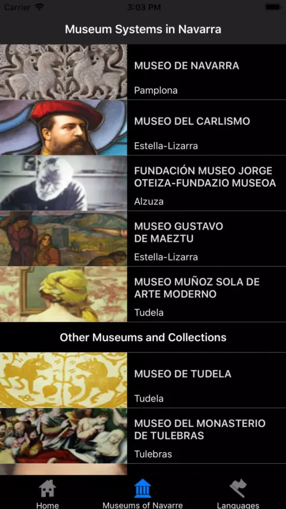 Tangkapan skrin Museums of Navarre