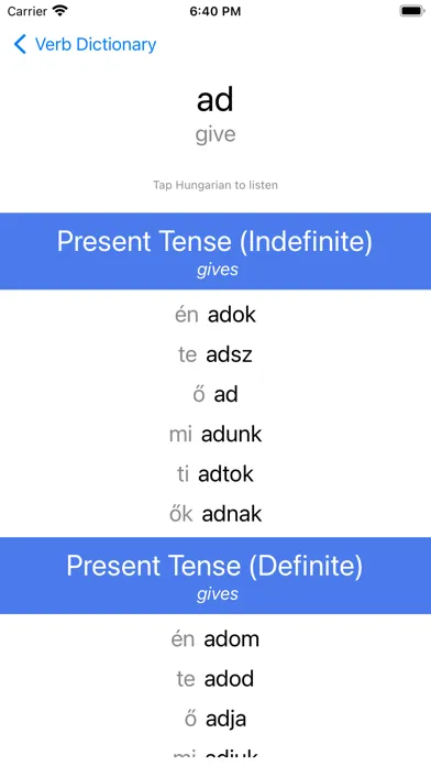 Capturas de pantalla de Hungarian Verb Blitz