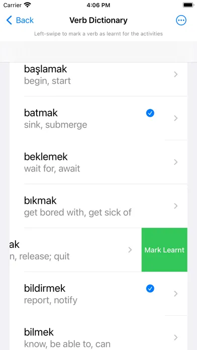 Turkish Verb Blitz应用截图