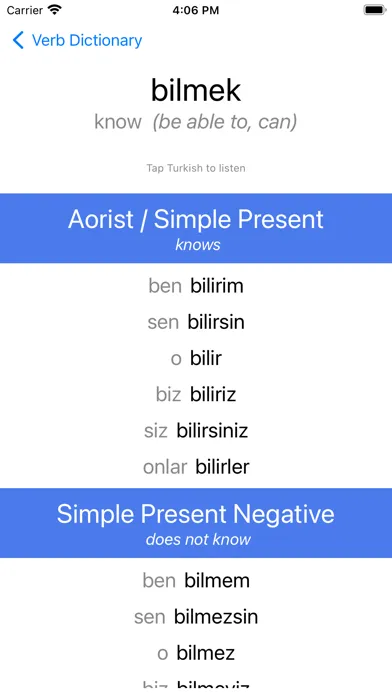 Turkish Verb Blitz应用截图