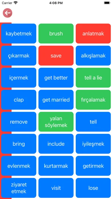 Turkish Verb Blitz应用截图