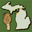 Michigan Mushroom Forager Map! Michigan Mushroom Forager Map!