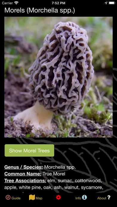 Michigan Mushroom Forager Map! Ekran Görüntüleri