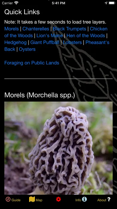 Minnesota Mushroom Forager Map স্ক্রিনশট
