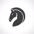 Pally's downunder nags