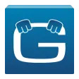 Geotab Drive