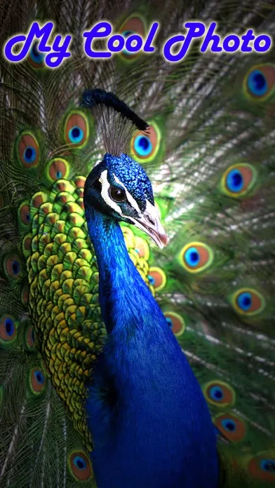 Ảnh chụp màn hình của MyCoolPhoto