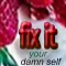 Fix It Your Damn Self: lite