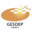 Gesdep Connect