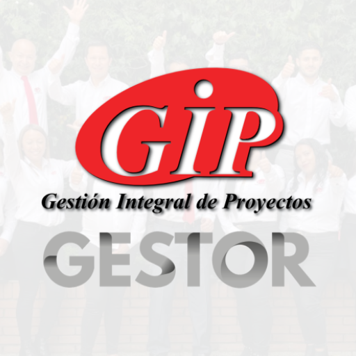 Gestor GIP