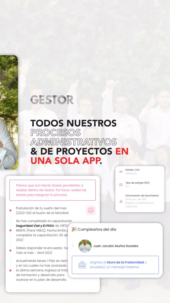 Gestor GIP Screenshots