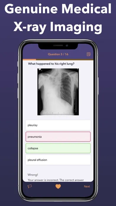 صور Radiology Core: Physics Prep
