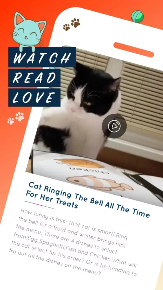 CADO Stories Screenshots