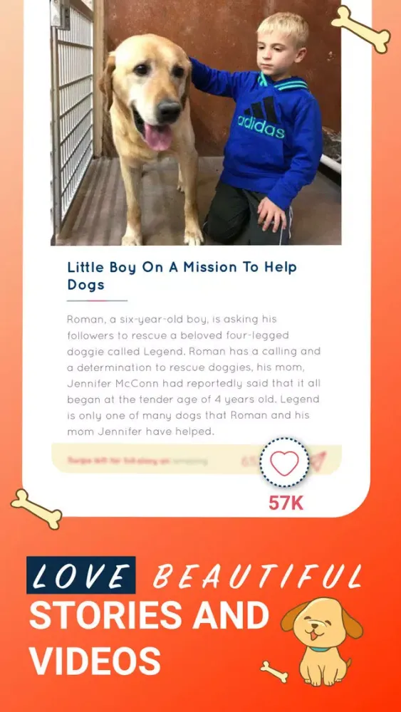 CADO Stories Screenshots