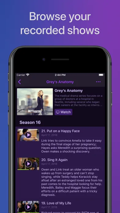 Channels: Whole Home DVR应用截图