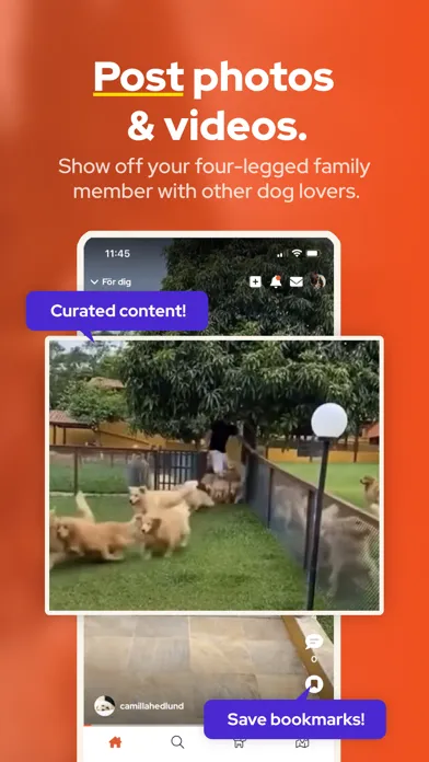 Screenshot di Dogs